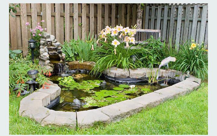 How a Pond Specialist Can Transform Your Water Garden: Benefits and Services Explained